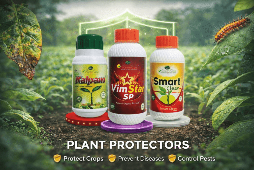 825eafa2 1c26 4164 a50a 30c33ddcce2e 2