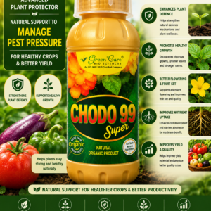 chodo 99 super