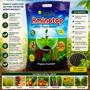 aminotop