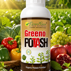 greeno potash