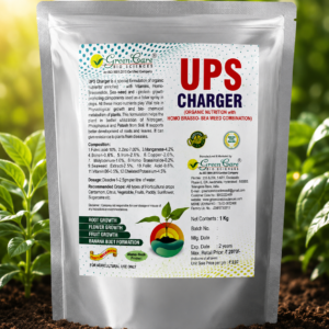 ups charger