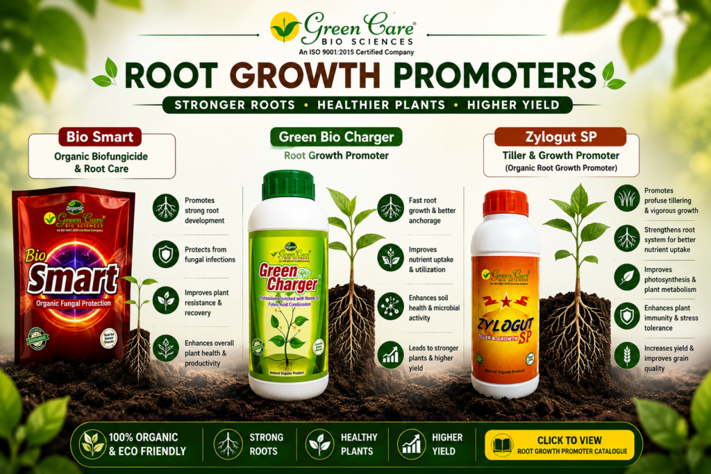 Powerful Root Growth Solutions for Healthier, High-Yield Crops 🌱 Boost root development, improve nutrient absorption, and build stronger plants with Green Care’s trusted root growth promoters. Designed for faster establishment, better stress tolerance, and vigorous crop performance from root to harvest.