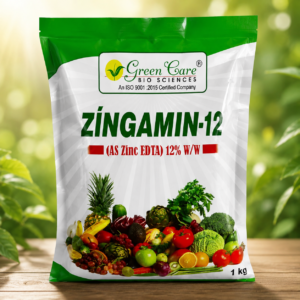 zingamin 12