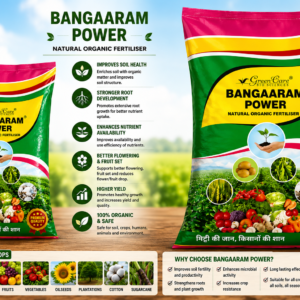 bangaaram power