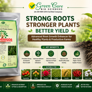 rootmate