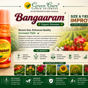 bangaaram