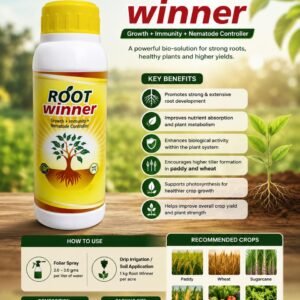 root winner