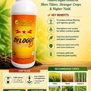zylocut sp