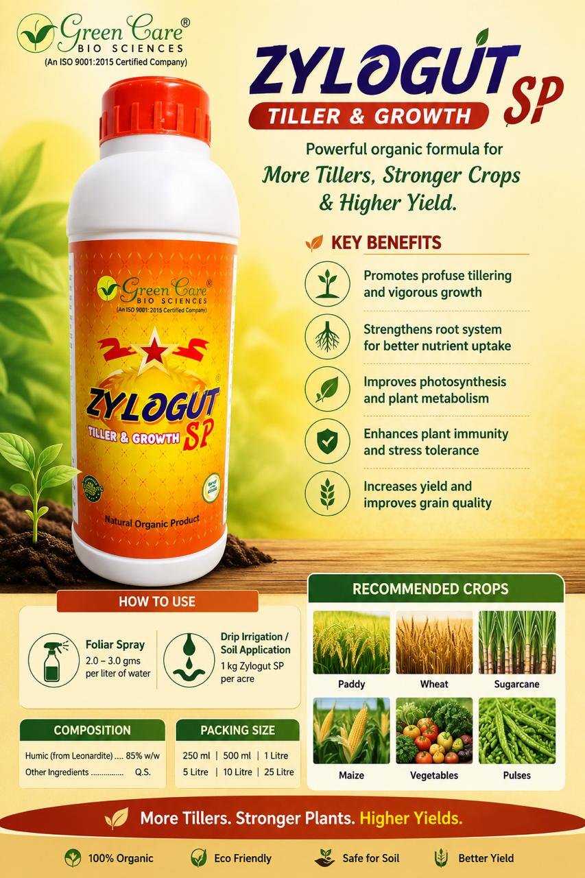 zylocut sp zylocut sp