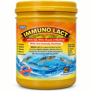 IMMUNO LACT – White Gut Immunity Booster