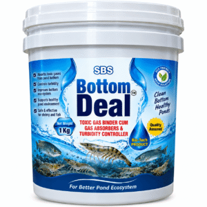Bottom Deal